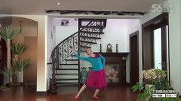 ok广场舞视频免费下载,舞动健康生活新篇章