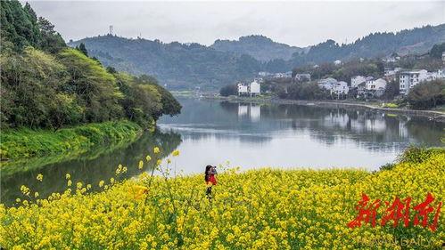 泸溪视频,探寻湘西秘境的美丽画卷