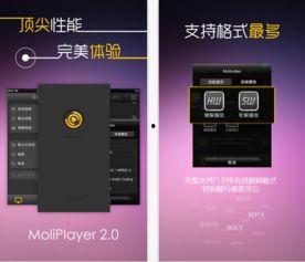 魔力视频解码器,高效解码，畅享视听盛宴