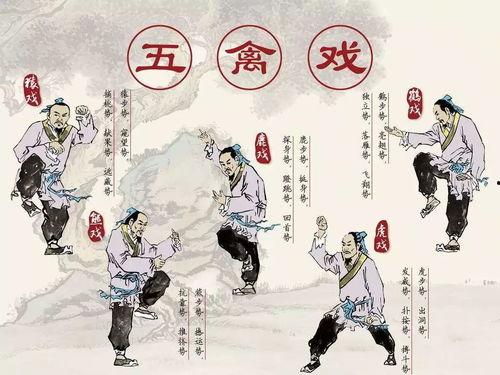 导引术十二功法完整演示视频,完整视频教程概述