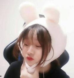 骚骚兔视频,趣味横生，笑点满满，带你领略欢乐时光